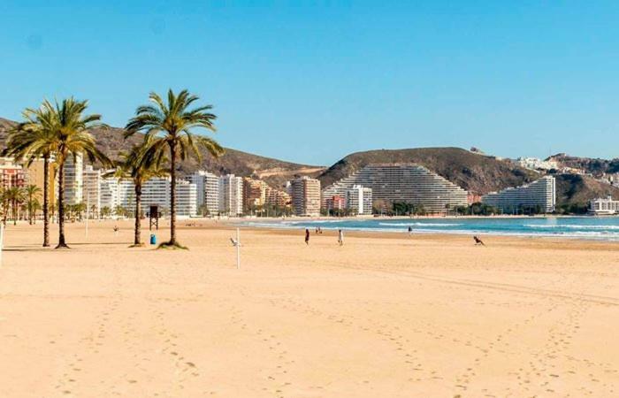 Apartamento Ensueno En Cullera Playa San Antonio Exteriör bild